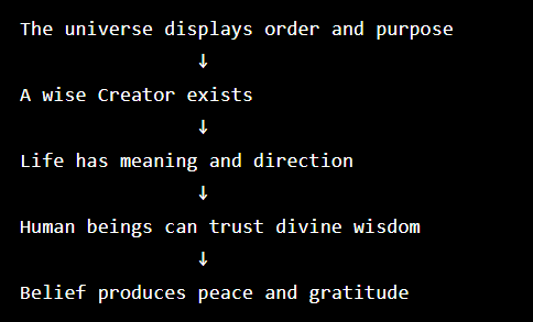 Belief Summary